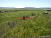 Terreno en Venta en Alcolea de Tajo
