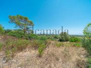 Terreno en venta en Alcúdia