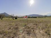 Terreno en Venta en Alcúdia