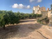 Terreno en Venta en Alfara del Patriarca