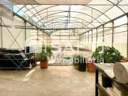 Terreno en Venta en Alfarp