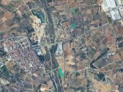 Terreno en Venta en Alfarp