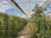 Terreno en Venta en Algarrobo