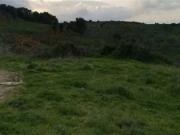 Terreno en Venta en Algeciras