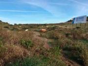 Terreno en Venta en Algeciras