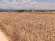 Terreno en venta en Algete