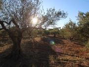 Terreno en Venta en Alhaurín de la Torre