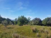 Terreno en Venta en Alhaurín de la Torre