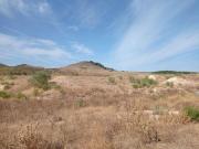 Terreno en venta en Alhaurín de la Torre, Alquería...
