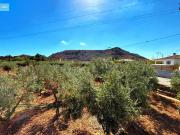 Terreno en Venta en Alicante Alacant