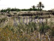 Terreno en Venta en Alicante Alacant