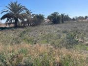 Terreno en Venta en Alicante Alacant