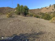 Terreno en Venta en Almáchar