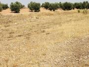 Terreno en venta en Almadén