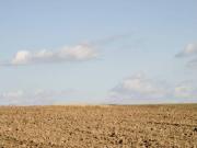 Terreno en Venta en Almansa