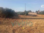 Terreno en Venta en Almassora