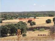 Terreno en Venta en Almedina