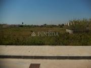 Terreno en Venta en Almenara