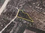 Terreno en Venta en Almenara