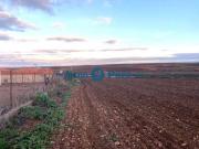 Terreno en Venta en Almendralejo