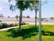 Terreno en venta en Almeras, Torreón, Coahuila de Zaragoza