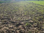 Terreno en Venta en Almodóvar del Río