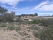 Terreno en Venta en Almoradí