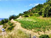 Terreno en Venta en Alpujarra de La Sierra