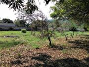 Terreno en Venta en Alpuyeca, Morelos 5387 m2