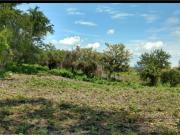 Terreno en venta en Alpuyeca, Xochitepec, Morelos