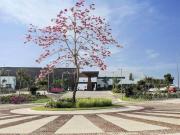 Terreno en venta en Altozano, Centro, Tabasco