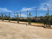 Terreno en Venta en Altozano junto al Hospital Ángeles