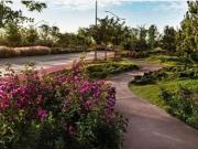 Terreno en Venta en Altozano la Nueva Laguna, Gómez...