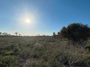 Terreno en Venta en Alzabares