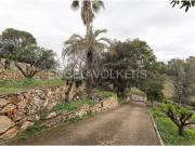 Terreno en Venta en Alzira