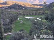 Terreno en Venta en Alzira