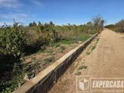 Terreno en Venta en Alzira