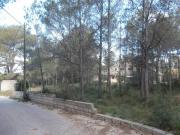 Terreno en Venta en Alzira