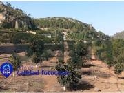 Terreno en Venta en Carcaixent