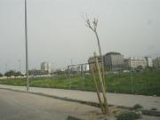 Terreno en venta en Alzira, Alzira