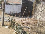 TERRENO EN VENTA EN TEPOZTLÁN MORELOS