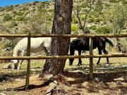 Terreno en Venta en Ambite