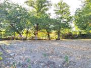 Terreno en Venta en Amoeiro