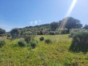 Terreno en Venta en Anchuras