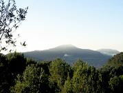 Terreno en venta en Andratx