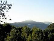 Terreno en Venta en Andratx