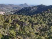 Terreno en venta en Andratx, S Arracó