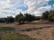 Terreno en Venta en Andújar
