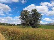 Terreno en Venta en Antequera