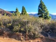 Terreno en Venta en Arafo